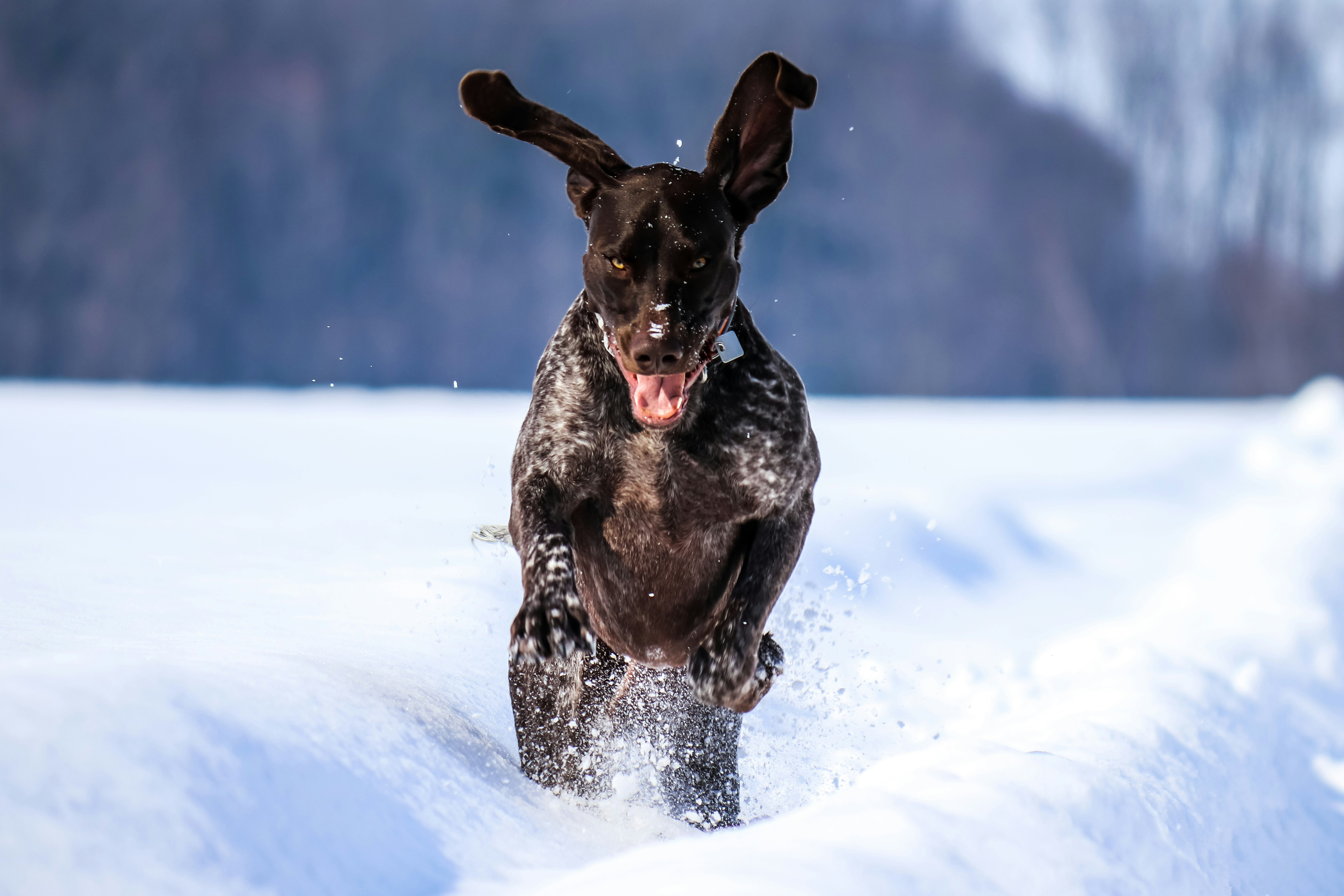 Second image description